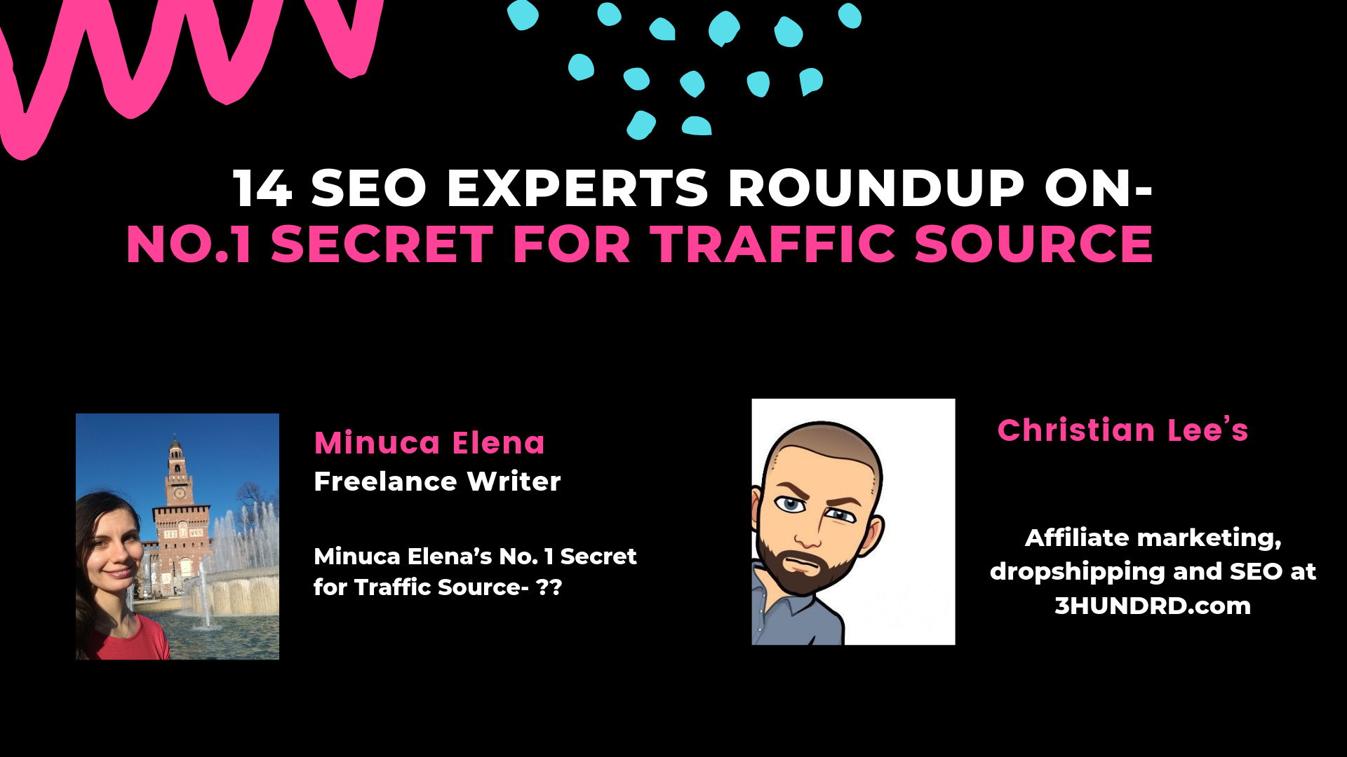 14 SEO Experts Roundup On- No.1 Secret For Traffic Source For 2022