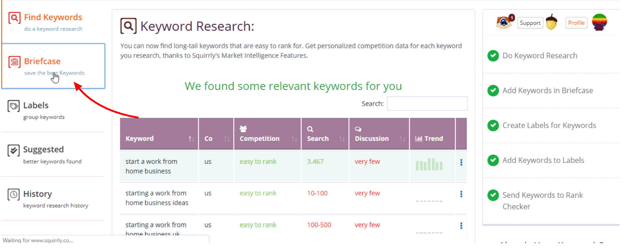 Squirrly SEO Plugin Review- Briefcase