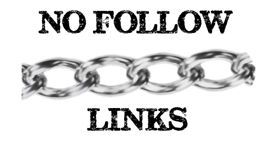 Is it a Good Idea to Conduct a Link Building Campaign with No-Follow Links?