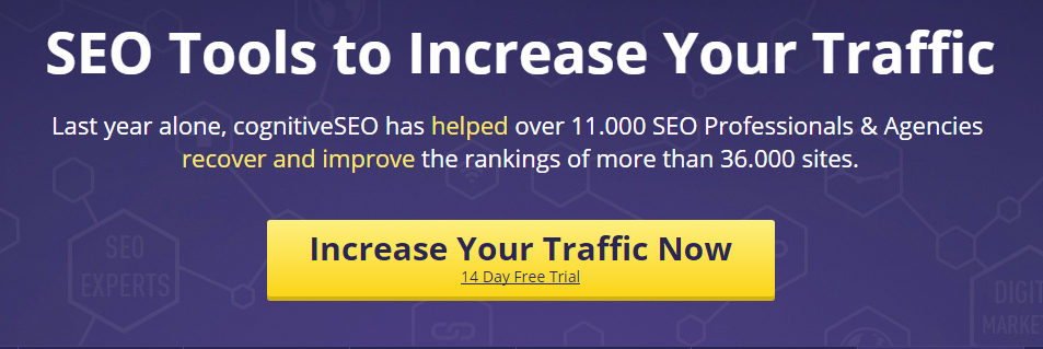SEO Tools to Increase Your Traffic cognitiveSEO